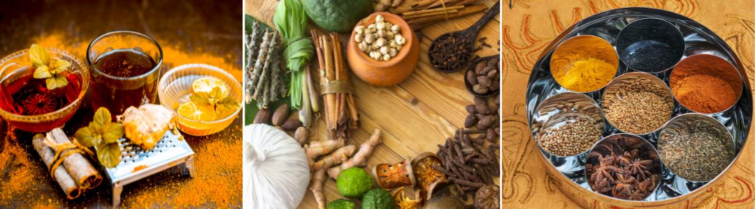 condimente ayurvedice